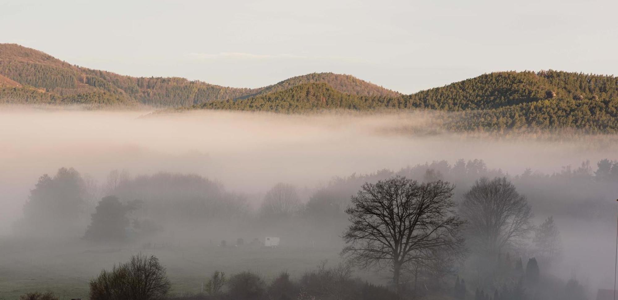 Ferienwohnung Weitblick Bruchweiler-Bärenbach Exteriör bild